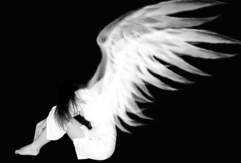 white_angel_by_phoenixea (1)