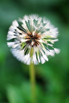 Seeds: A Resource for Narrative Lectionary Sept 9, Genesis 5:4-22, 8:6-12; 9:8-17 and Matthew&nbsp;8:24-27