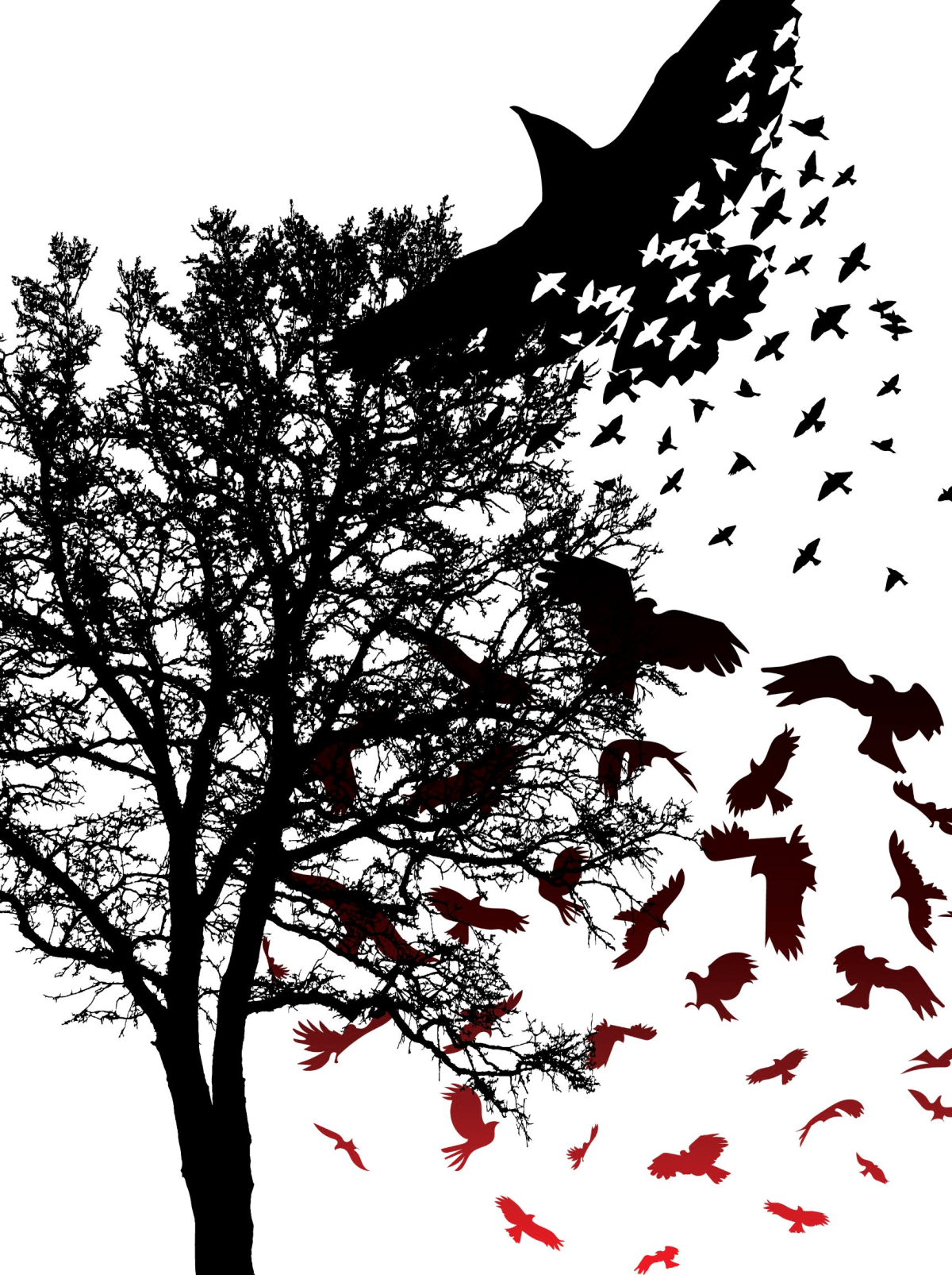 Narrative Lectionary Kingdom of&nbsp;Heaven